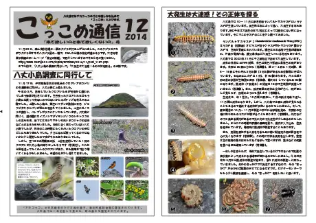 kokkome1412_1