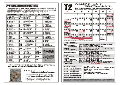 kokkome1412_2