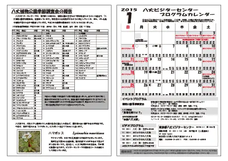 kokkome1501_2