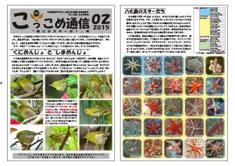 kokkome1502_1