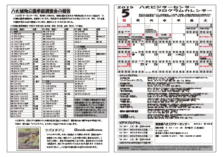 kokkome1505_2