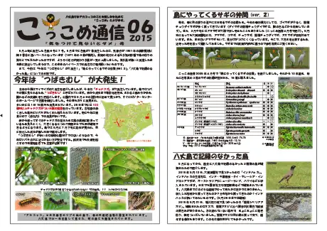 kokkome1506_1