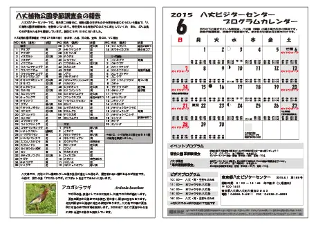 kokkome1506_2