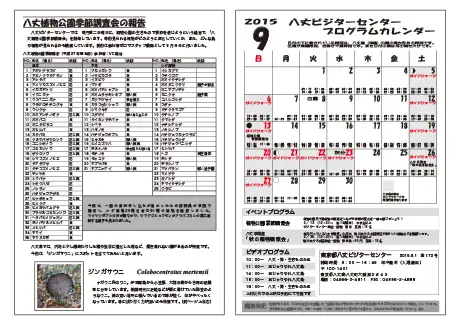 kokkome1509_2
