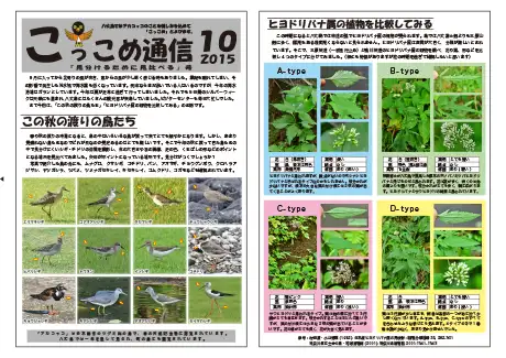 kokkome1510_1