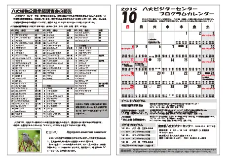 kokkome1510_2