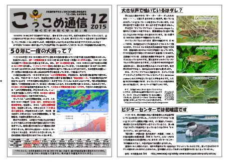 kokkome1512_1