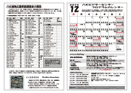kokkome1512_2