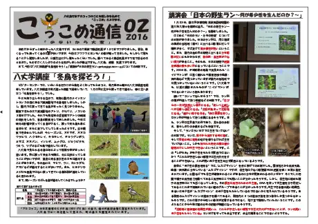 kokkome1602_1