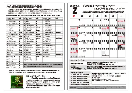 kokkome1602_2