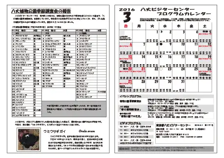 kokkome1603_2