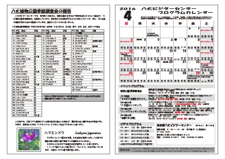 kokkome1604_2
