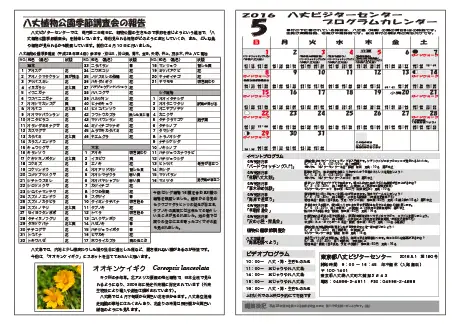 kokkome1605_2