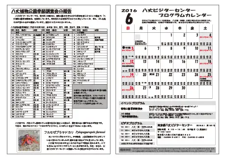 kokkome1606_2