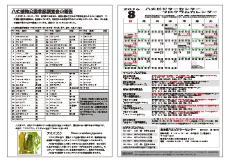 kokkome1608_2