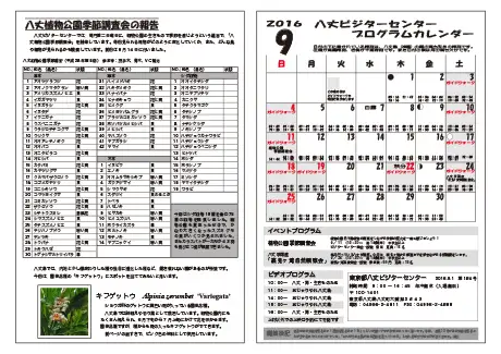 kokkome1609_2