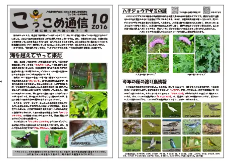 kokkome1610_1