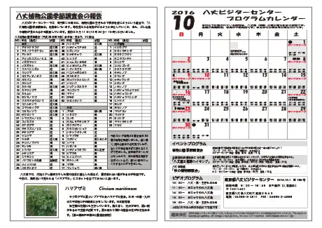 kokkome1610_2