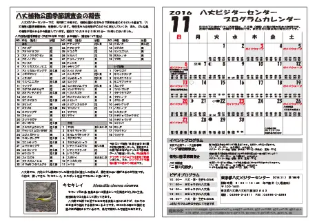 kokkome1611_2