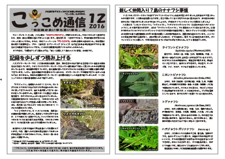 kokkome1612_1