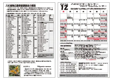 kokkome1612_2