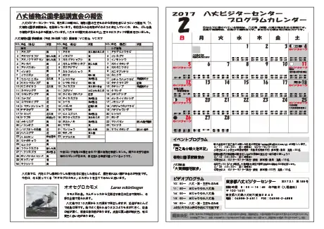 kokkome1702_2
