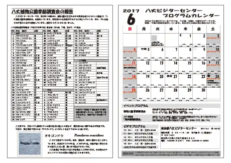kokkome1706_2