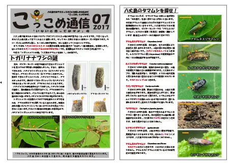 kokkome1707_1