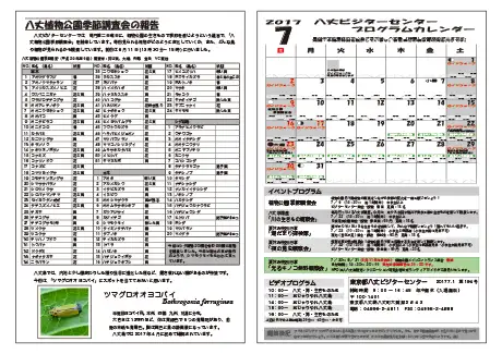 kokkome1707_2