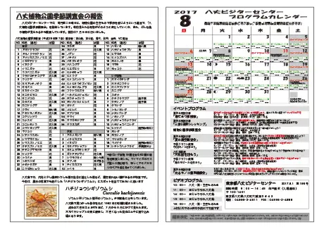 kokkome1708_2
