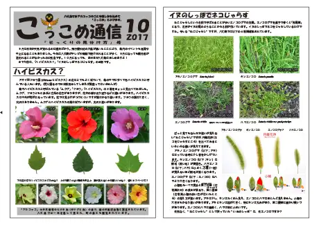 kokkome1710_1