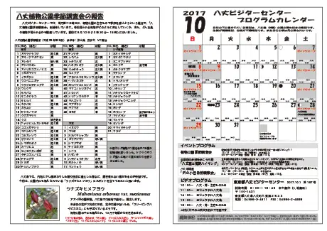 kokkome1710_2