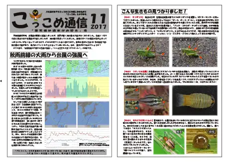 kokkome1711_1