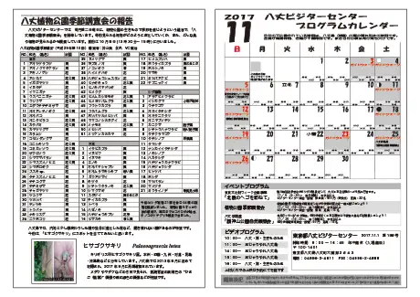 kokkome1711_2