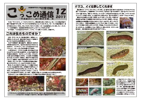 kokkome1712_1