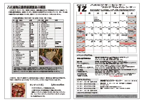 kokkome1712_2