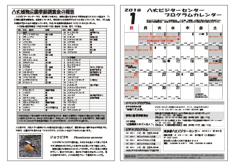 kokkome1801_2