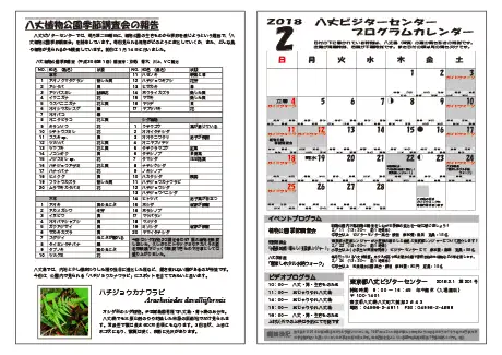 kokkome1802_2