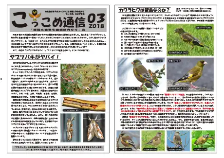 kokkome1803_1