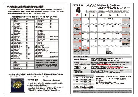 kokkome1804_2