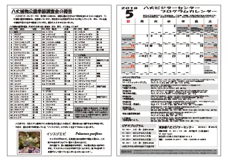 kokkome1805_2