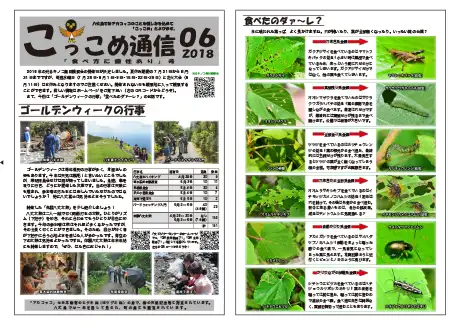 kokkome1806_1