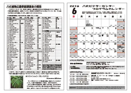 kokkome1806_2