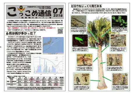 kokkome1807_1