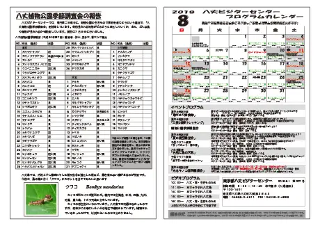 kokkome1808_2