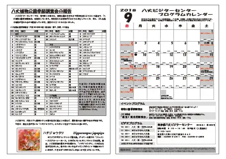 kokkome1809_2