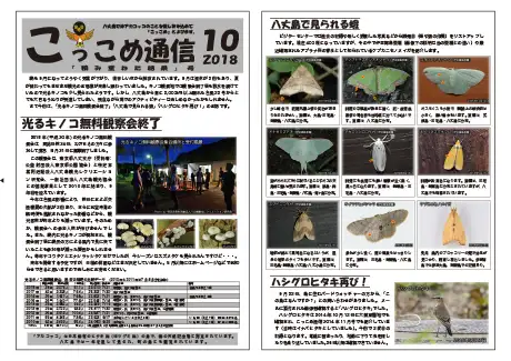 kokkome1810_1