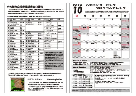 kokkome1810_2