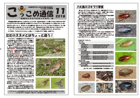 kokkome1811_1