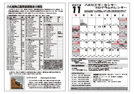 kokkome1811_2